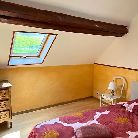 Semesterbostad Au Coeur Des Vignes - Rive De Champagne