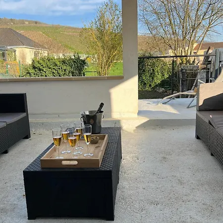 Feriehus Au Coeur Des Vignes - Rive De Champagne *