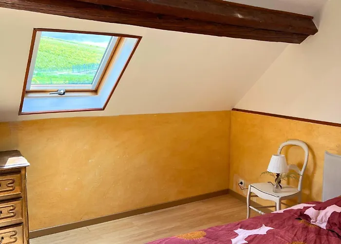 Feriehus Au Coeur Des Vignes - Rive De Champagne